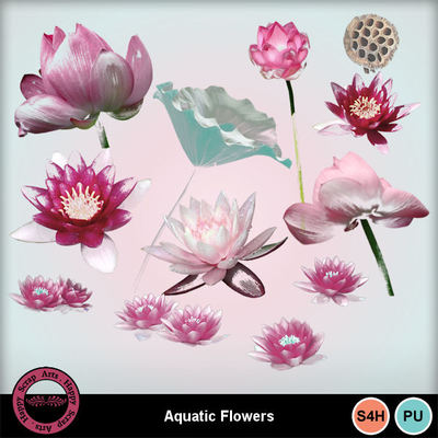 Aquaticflowers4